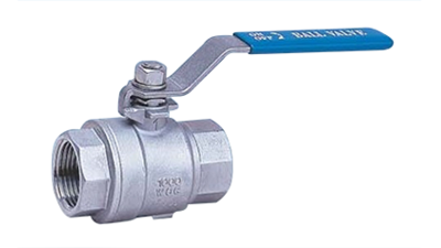 Stainless BSP 2 Piece Ball Valve