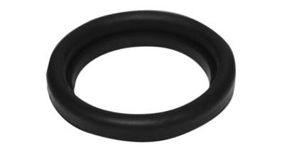 Stainless RJT Step Sanitary Seal EPDM