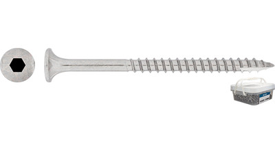 Stainless Bugle Batten Screw with T17 Cutter